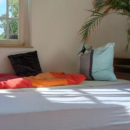 Forrest Apartments In Freiberg Min Stay 2 Nights Max Number Of Guest 1 Aprt 1 Dış mekan fotoğraf