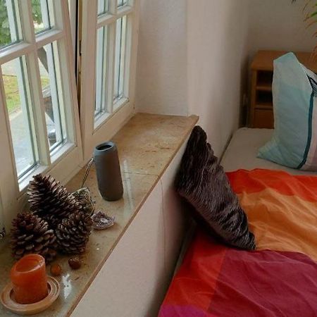 Forrest Apartments In Freiberg Min Stay 2 Nights Max Number Of Guest 1 Aprt 1 Dış mekan fotoğraf