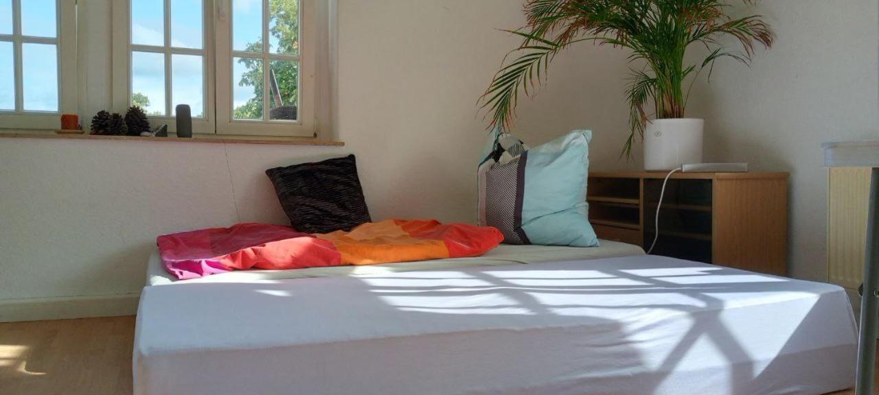 Forrest Apartments In Freiberg Min Stay 2 Nights Max Number Of Guest 1 Aprt 1 Dış mekan fotoğraf