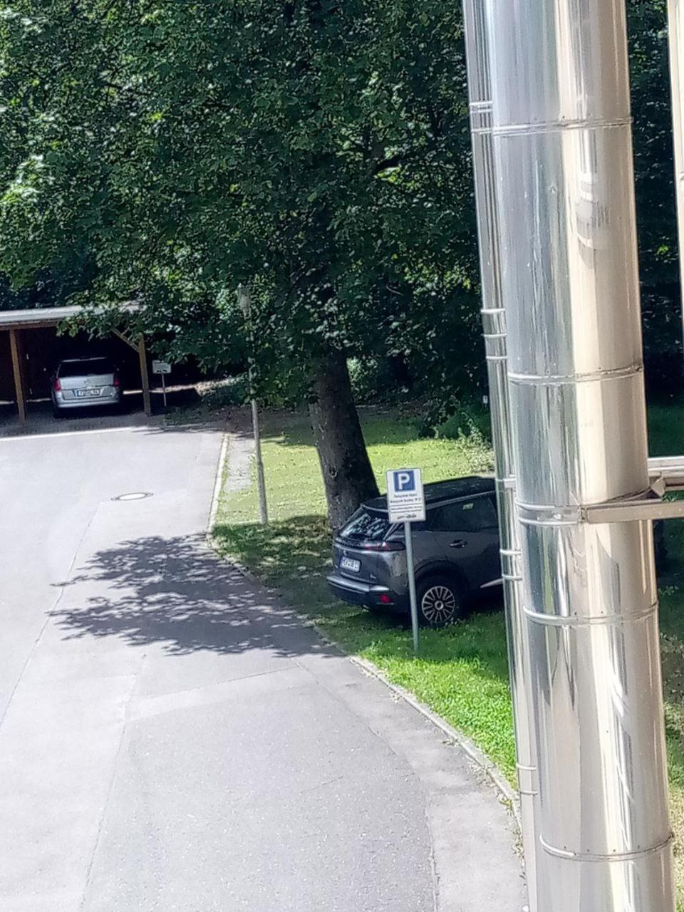 Forrest Apartments In Freiberg Min Stay 2 Nights Max Number Of Guest 1 Aprt 1 Dış mekan fotoğraf